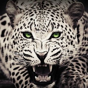 Meet your Posher, Sunny